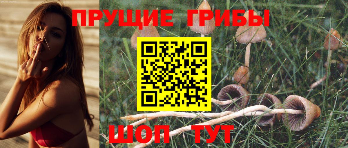 Галлюциногенные грибы Magic Shrooms Белореченск