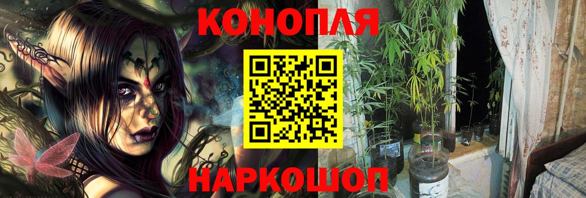 Каннабис конопля  Вход с VPN  Каннабис Bruce Banner  Белореченск  Бошки марихуана OG Kush 